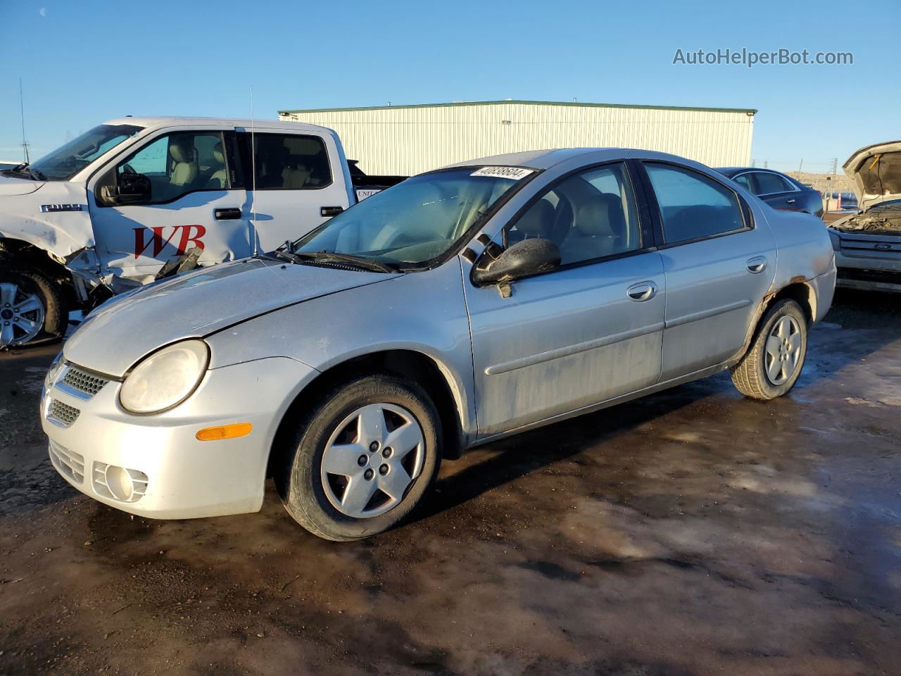 2004 Dodge Neon Sx 2.0 Серый vin: 1B3ES46C04D541221