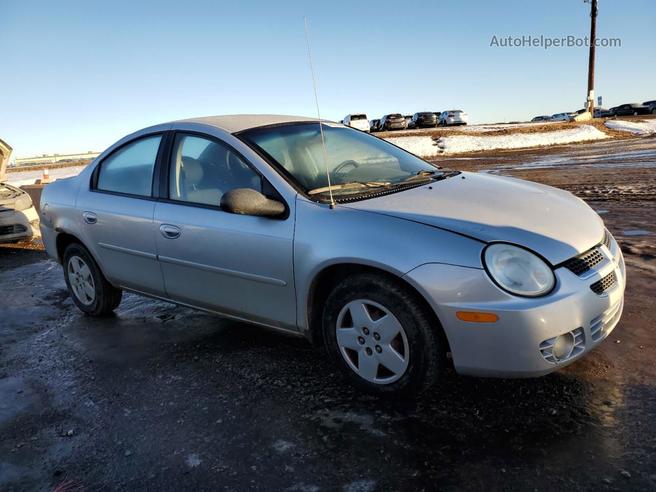 2004 Dodge Neon Sx 2.0 Серый vin: 1B3ES46C04D541221