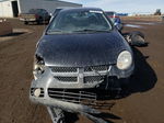 2004 Dodge Neon Sx 2.0 Черный vin: 1B3ES46C14D529255