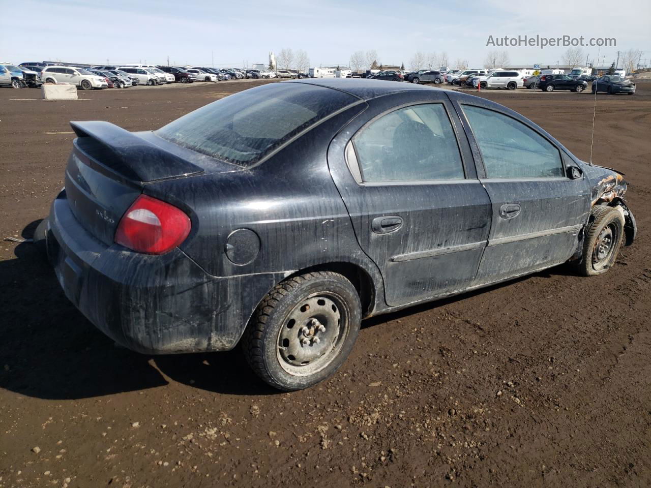 2004 Dodge Neon Sx 2.0 Черный vin: 1B3ES46C14D529255