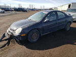 2004 Dodge Neon Sx 2.0 Черный vin: 1B3ES46C14D529255