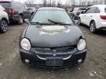 2004 Dodge Neon Sxt Черный vin: 1B3ES56C04D577383