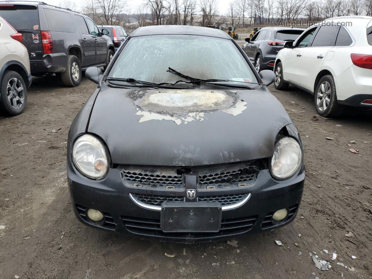 2004 Dodge Neon Sxt Black vin: 1B3ES56C04D577383