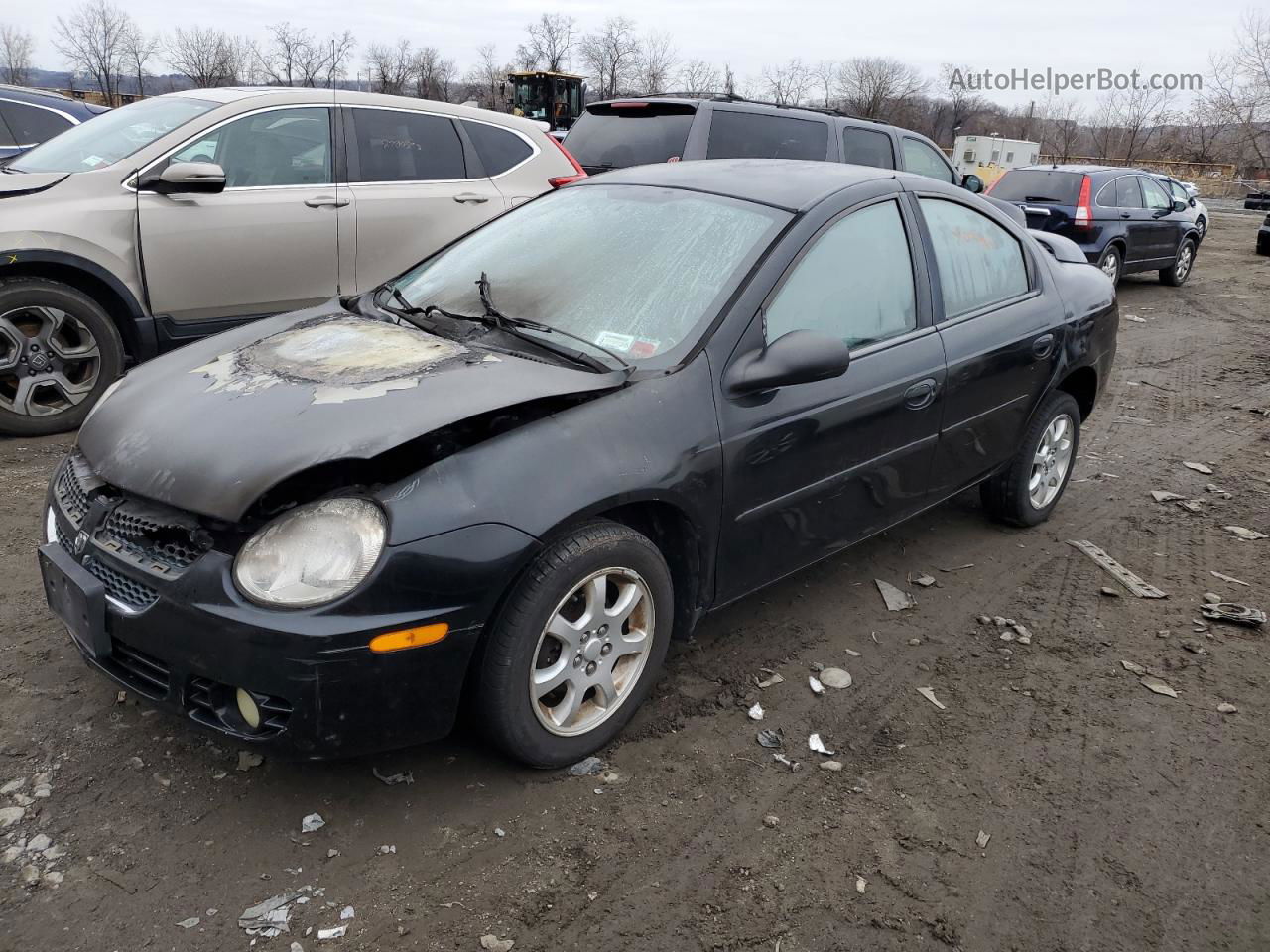 2004 Dodge Neon Sxt Black vin: 1B3ES56C04D577383