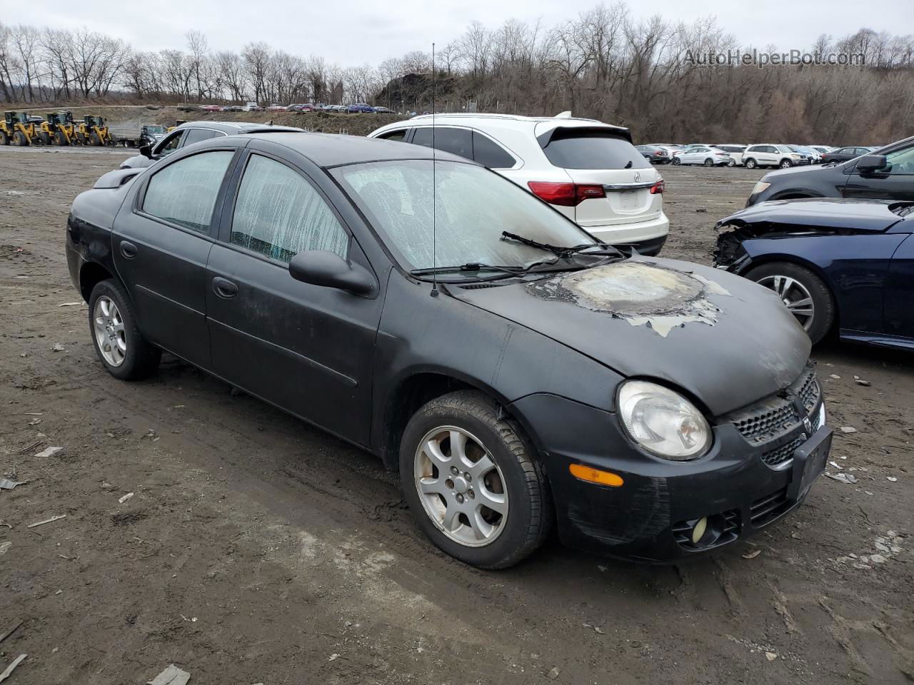 2004 Dodge Neon Sxt Black vin: 1B3ES56C04D577383