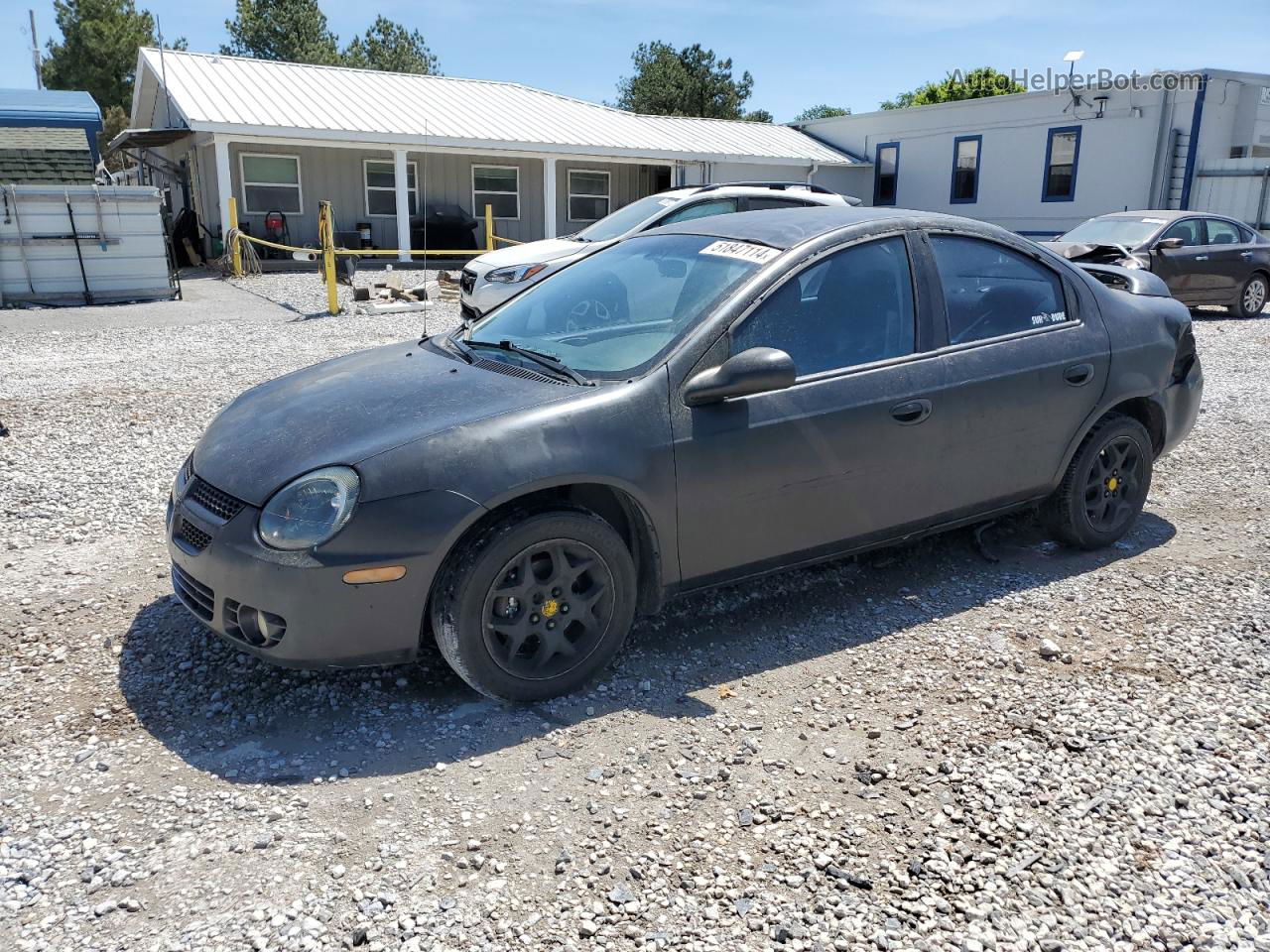 2004 Dodge Neon Sxt Black vin: 1B3ES56C04D608518