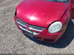 2004 Dodge Neon Sxt Red vin: 1B3ES56C24D516973