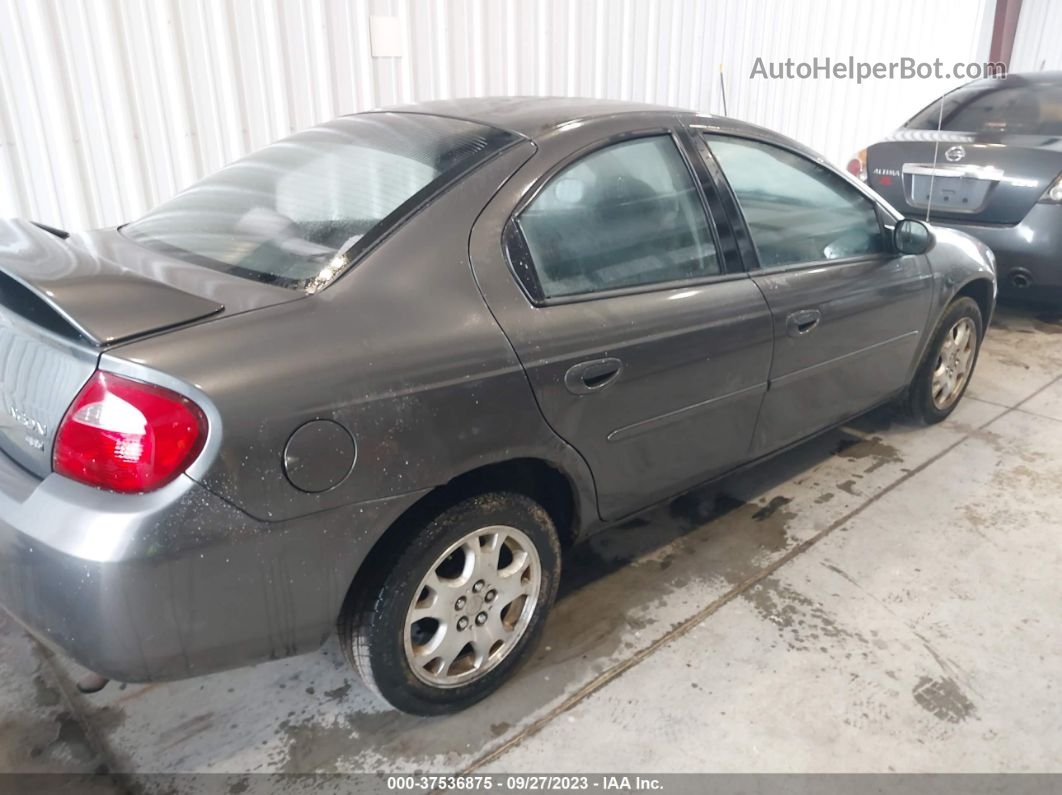 2004 Dodge Neon Sxt Gray vin: 1B3ES56C24D544434