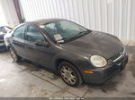 2004 Dodge Neon Sxt Gray vin: 1B3ES56C24D544434