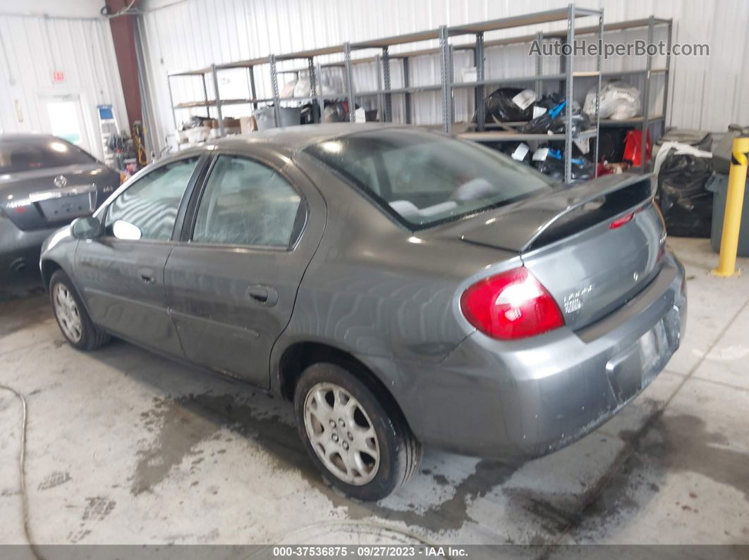 2004 Dodge Neon Sxt Gray vin: 1B3ES56C24D544434