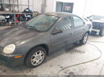 2004 Dodge Neon Sxt Gray vin: 1B3ES56C24D544434