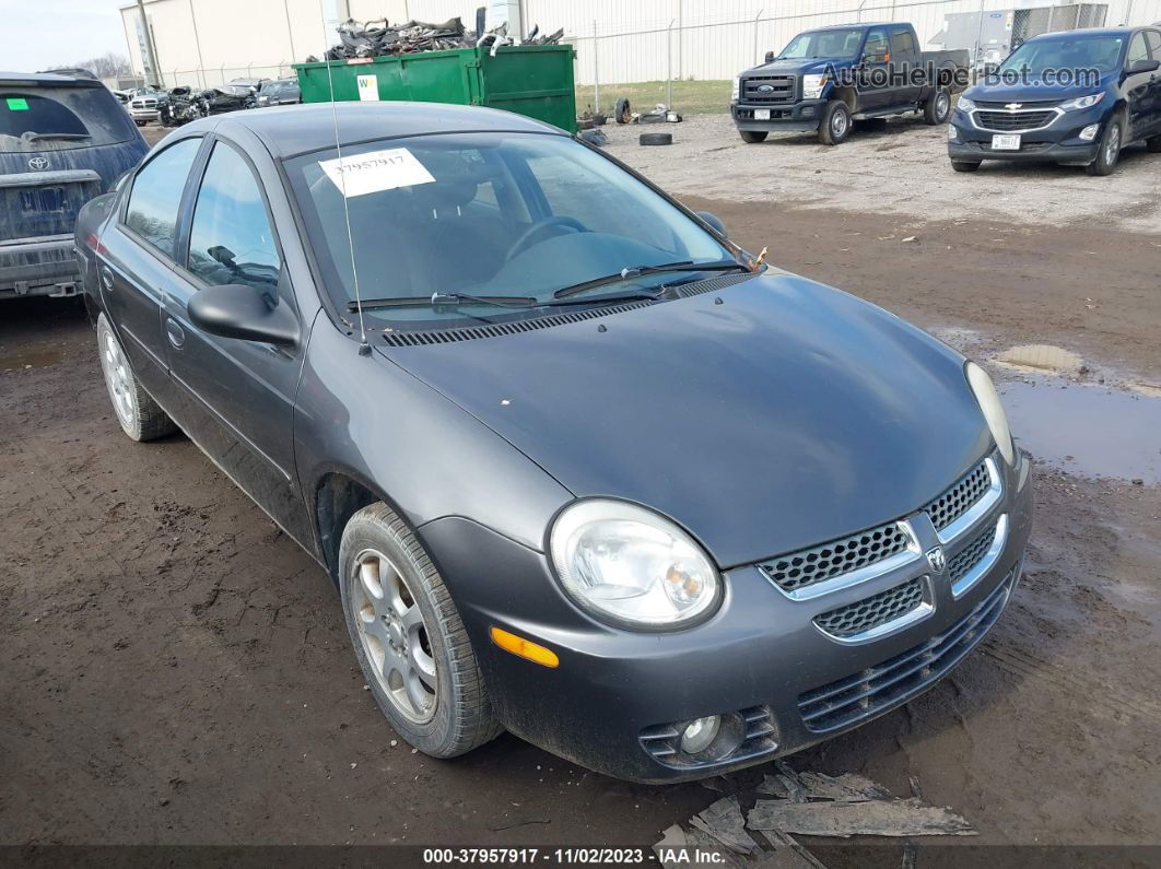 2004 Dodge Neon Sxt Gray vin: 1B3ES56C24D559791