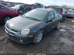 2004 Dodge Neon Sxt Gray vin: 1B3ES56C24D559791