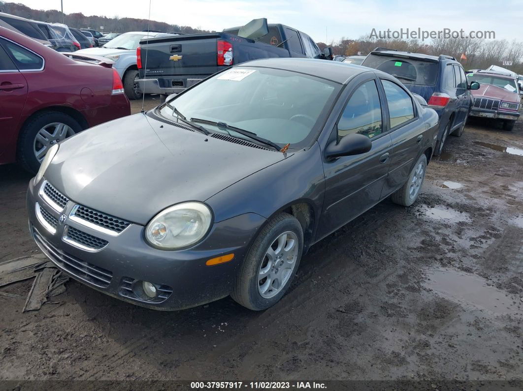 2004 Dodge Neon Sxt Gray vin: 1B3ES56C24D559791