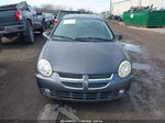 2004 Dodge Neon Sxt Gray vin: 1B3ES56C24D559791