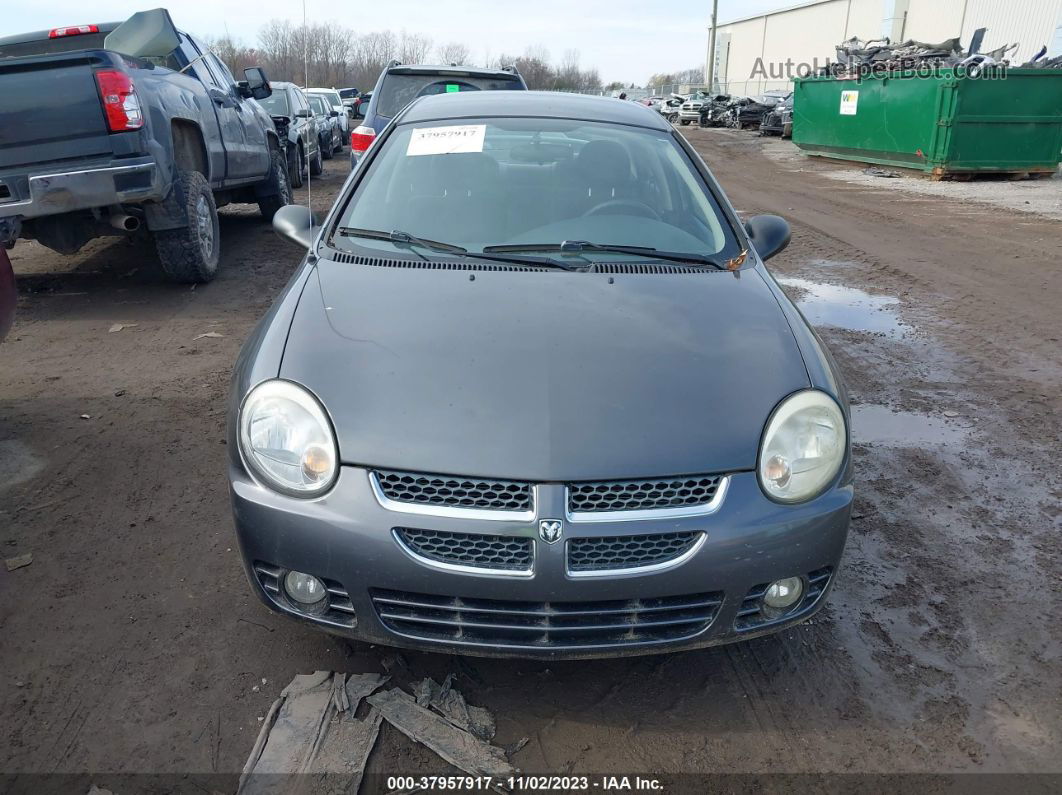 2004 Dodge Neon Sxt Gray vin: 1B3ES56C24D559791