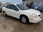 2004 Dodge Neon Sxt White vin: 1B3ES56C34D574249