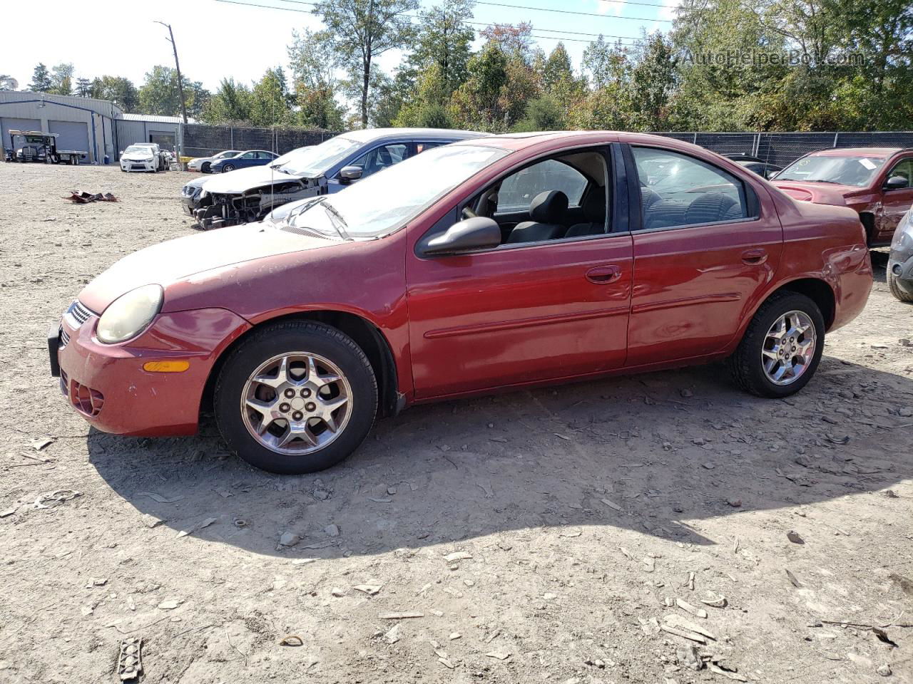 2004 Dodge Neon Sxt Red vin: 1B3ES56C34D603720