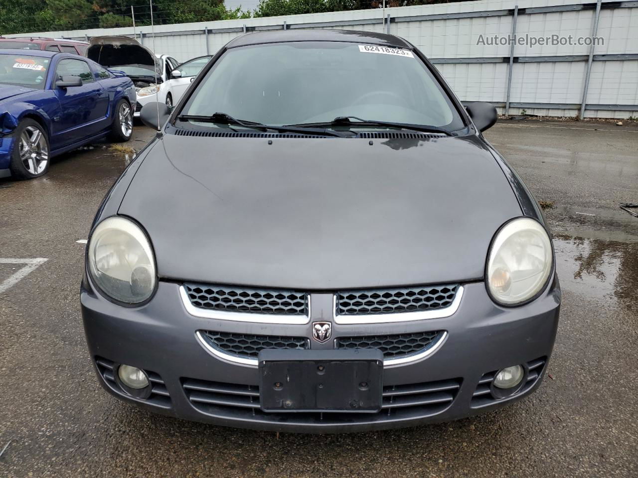 2004 Dodge Neon Sxt Серый vin: 1B3ES56C34D640945