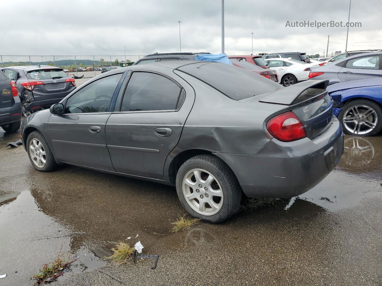 2004 Dodge Neon Sxt Gray vin: 1B3ES56C34D640945