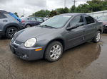 2004 Dodge Neon Sxt Gray vin: 1B3ES56C34D640945