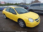 2004 Dodge Neon Sxt Желтый vin: 1B3ES56C44D570520