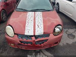 2004 Dodge Neon Sxt Red vin: 1B3ES56C54D542225