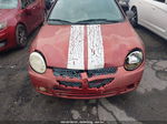 2004 Dodge Neon Sxt Red vin: 1B3ES56C54D542225