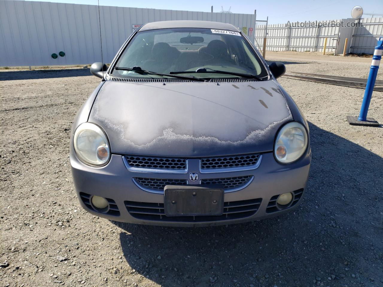 2004 Dodge Neon Sxt Gray vin: 1B3ES56C54D601953