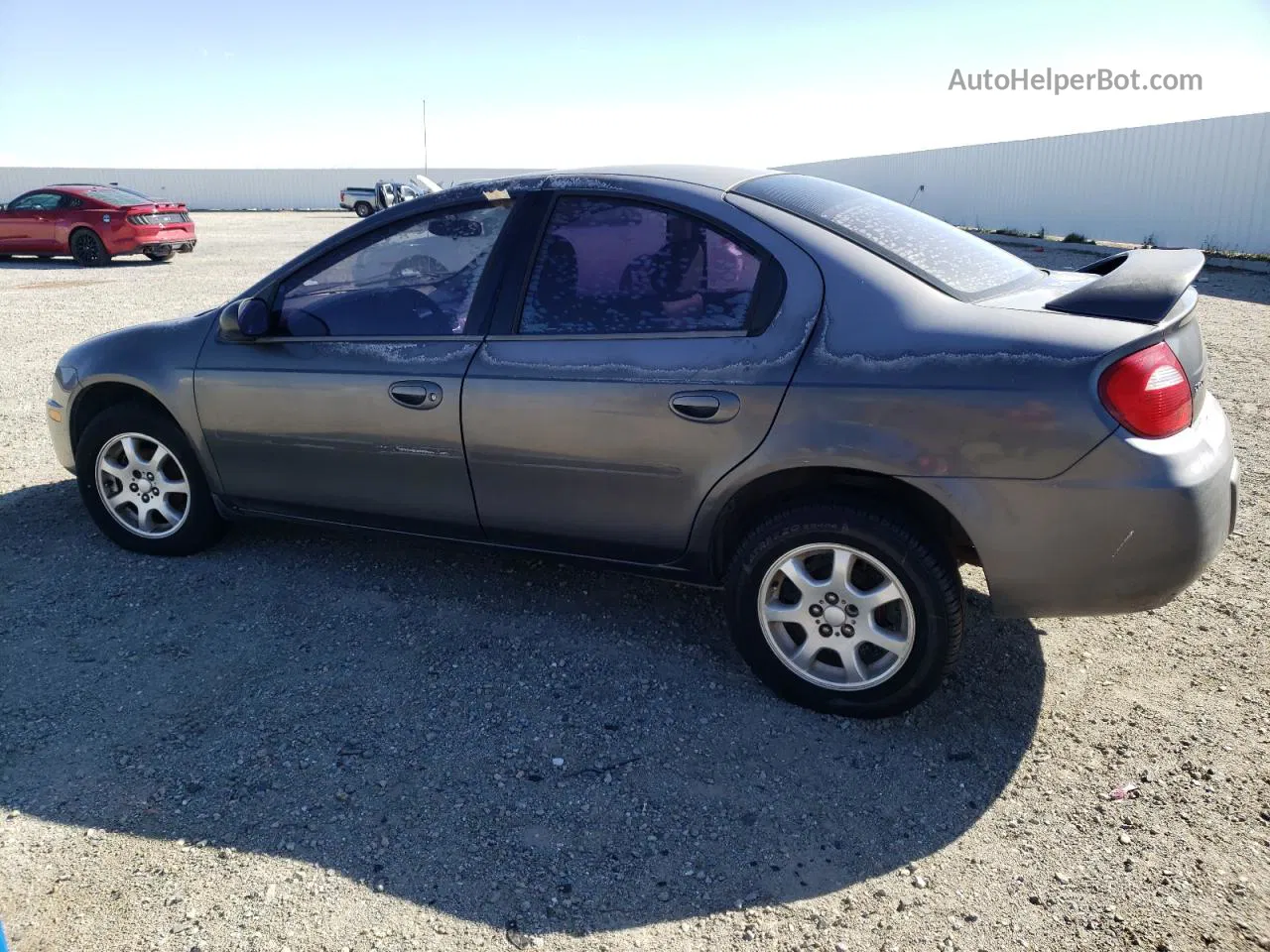 2004 Dodge Neon Sxt Gray vin: 1B3ES56C54D601953