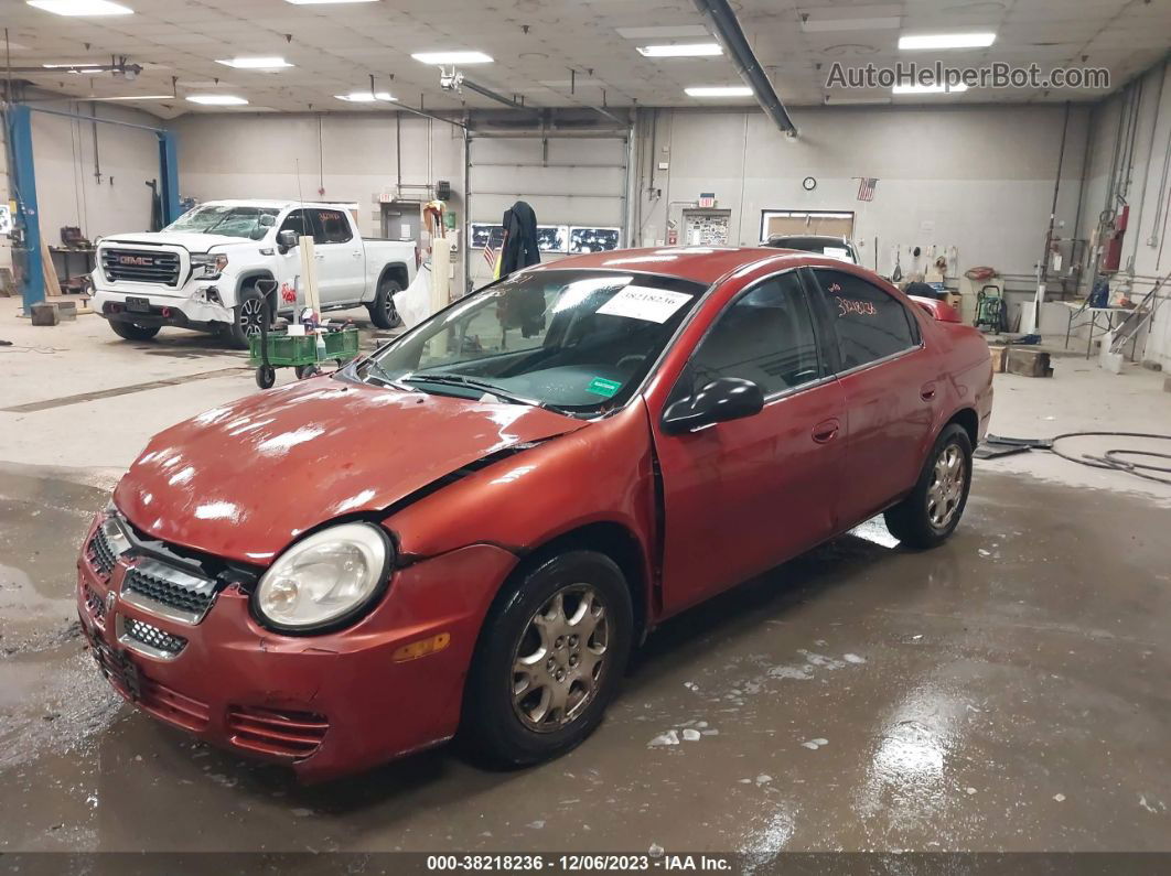 2004 Dodge Neon Sxt Оранжевый vin: 1B3ES56C54D629168