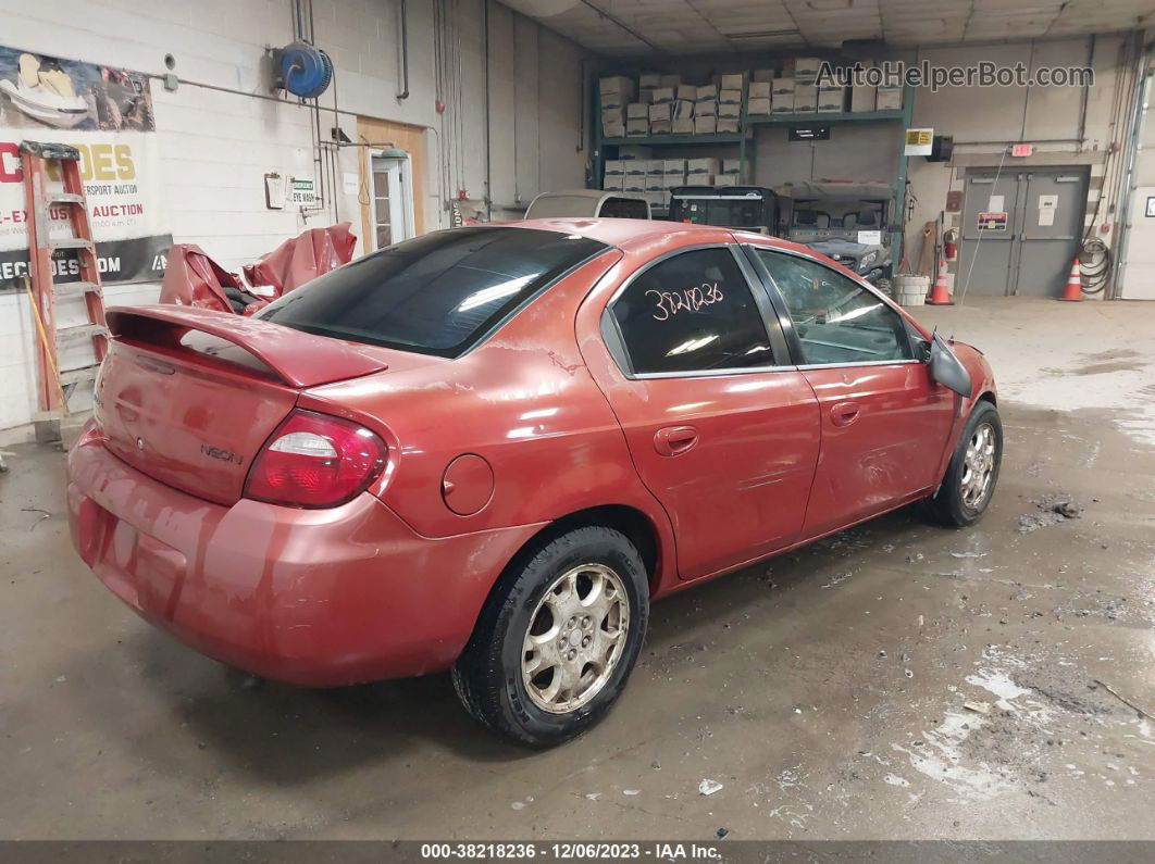 2004 Dodge Neon Sxt Оранжевый vin: 1B3ES56C54D629168