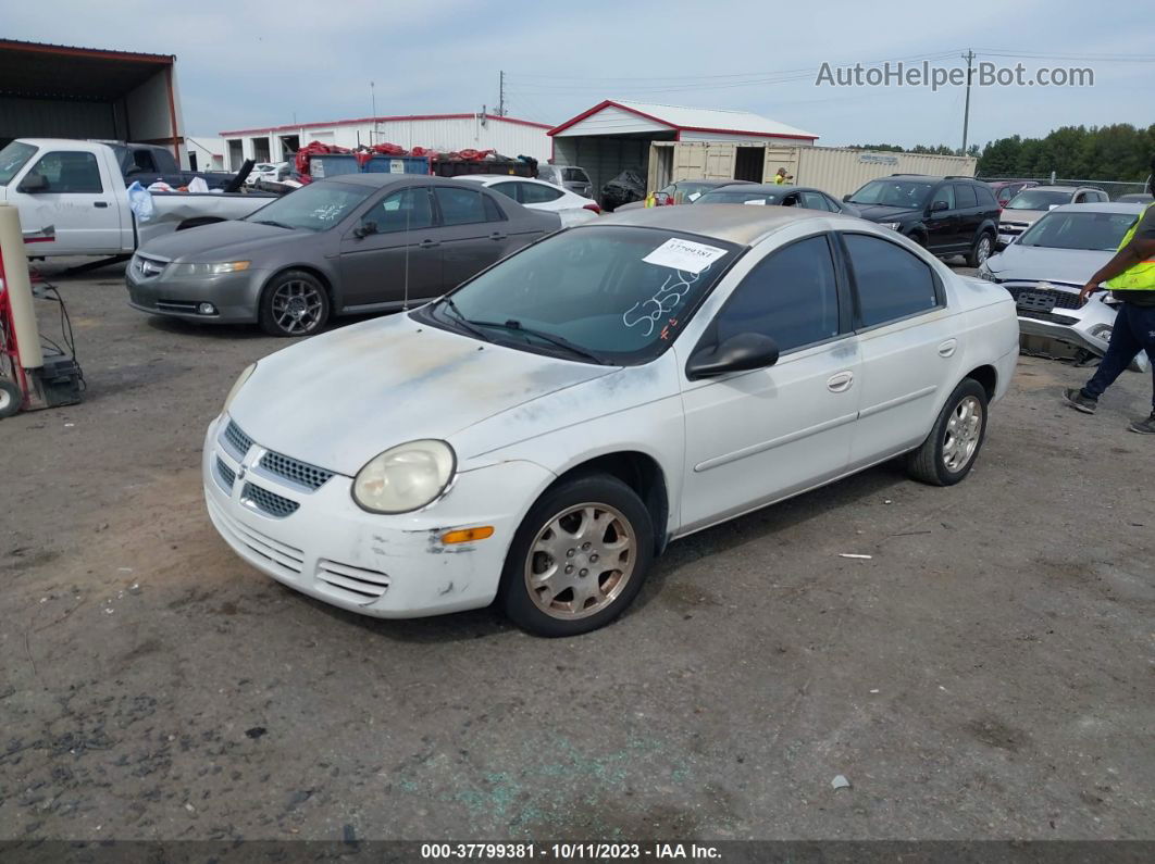 2004 Dodge Neon Sxt White vin: 1B3ES56C64D525563