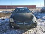 2004 Dodge Neon Sxt Black vin: 1B3ES56C64D614050