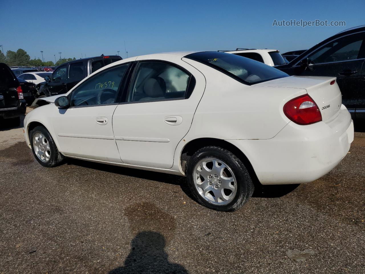 2004 Dodge Neon Sxt White vin: 1B3ES56C64D636341