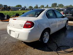 2004 Dodge Neon Sxt White vin: 1B3ES56C64D636341