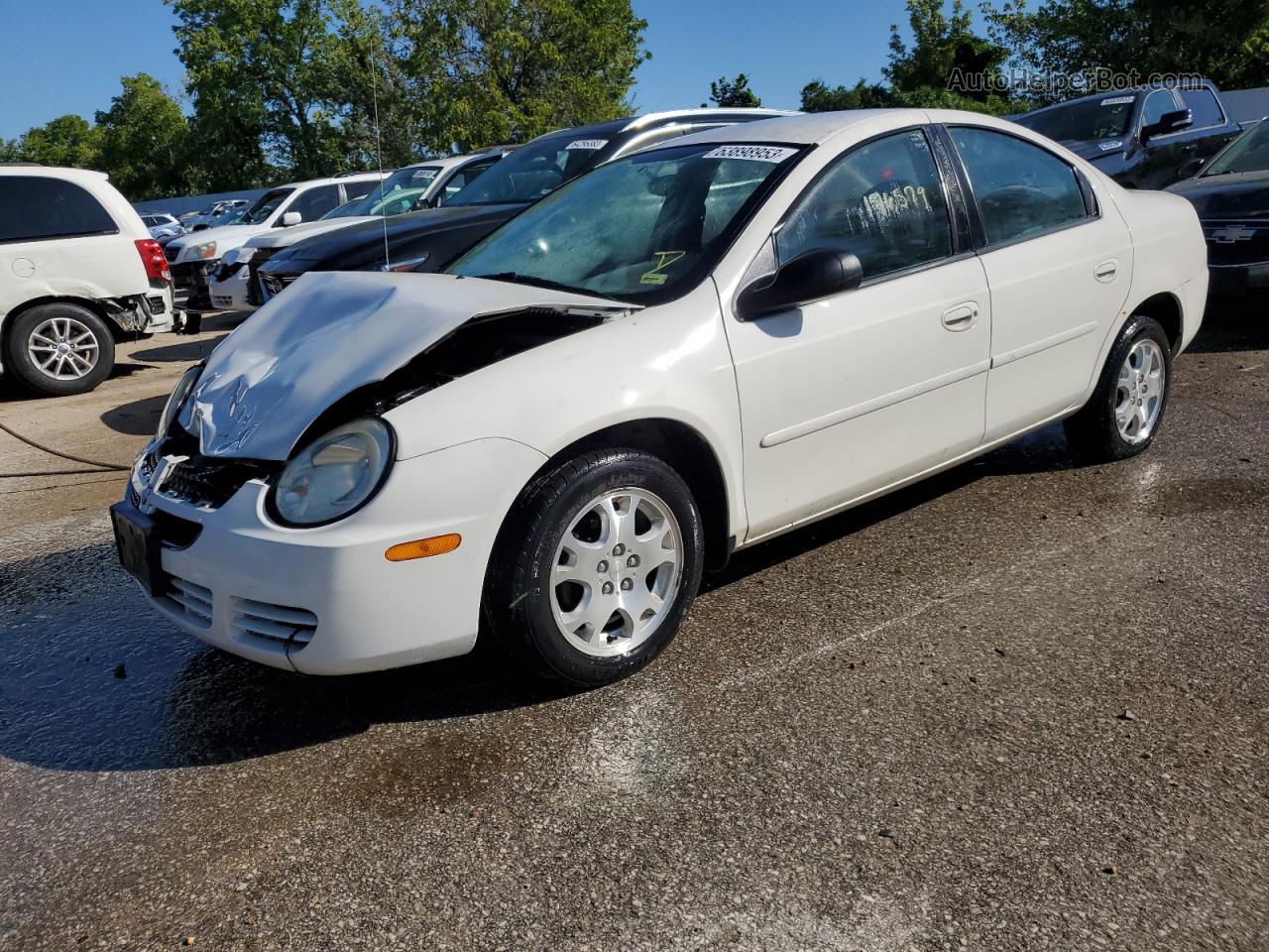 2004 Dodge Neon Sxt White vin: 1B3ES56C64D636341