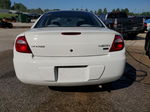 2004 Dodge Neon Sxt White vin: 1B3ES56C64D636341