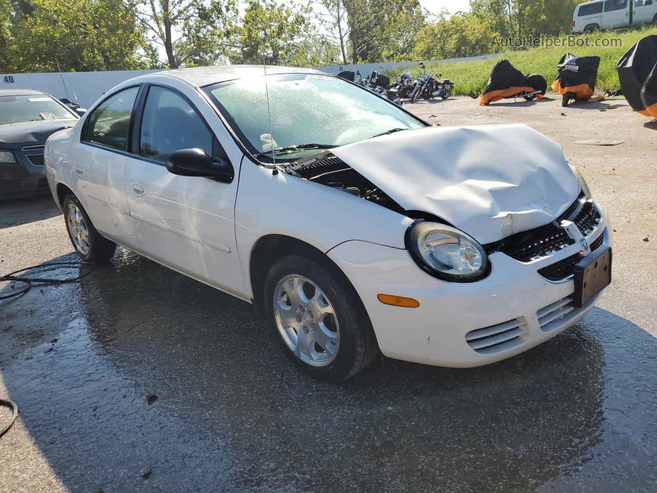 2004 Dodge Neon Sxt White vin: 1B3ES56C64D636341