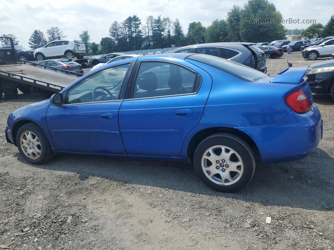 2004 Dodge Neon Sxt Blue vin: 1B3ES56C74D502633