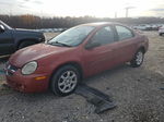 2004 Dodge Neon Sxt Red vin: 1B3ES56C74D509159