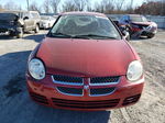 2004 Dodge Neon Sxt Красный vin: 1B3ES56C74D513597