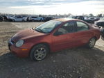 2004 Dodge Neon Sxt Красный vin: 1B3ES56C74D521330