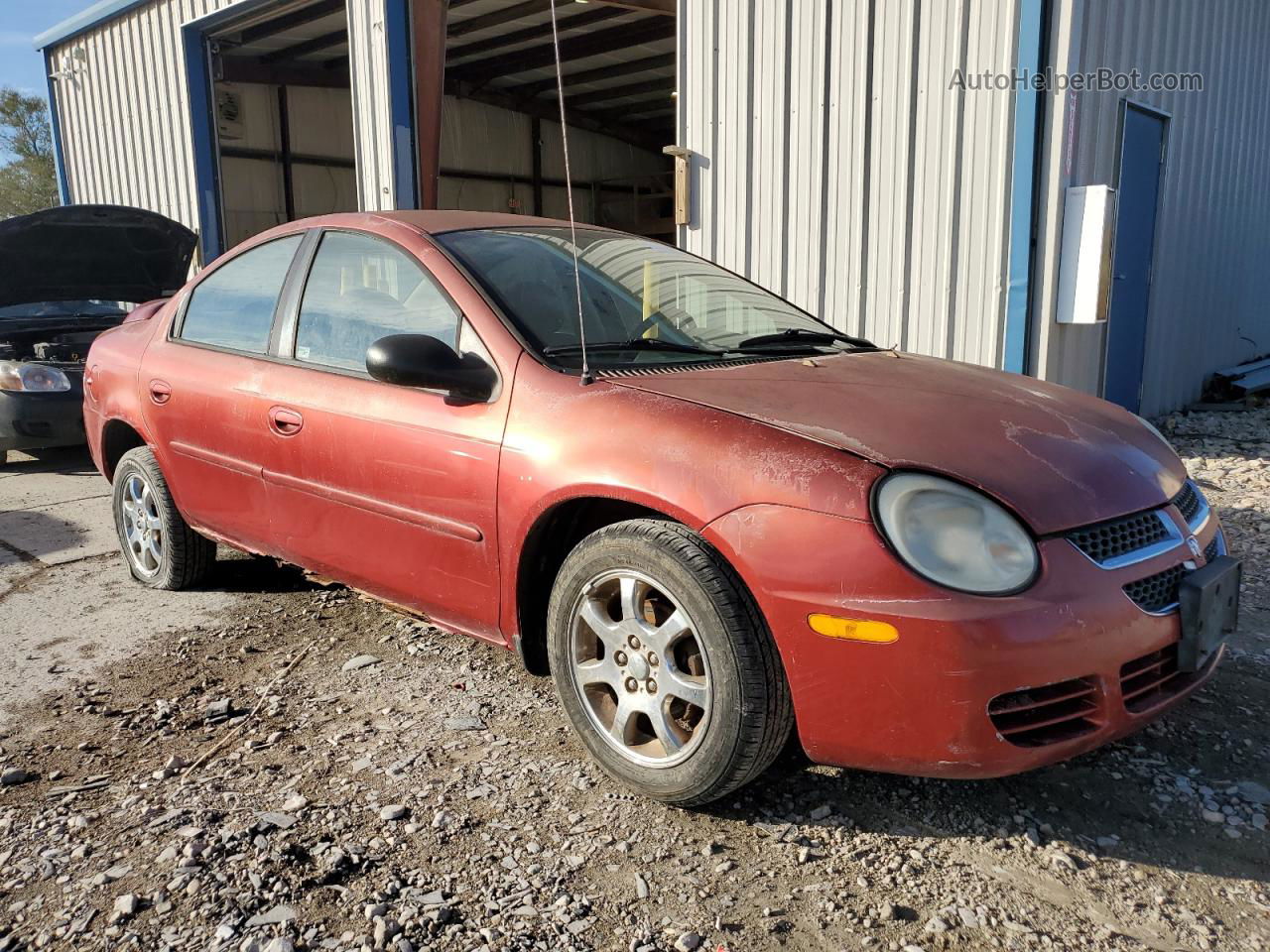 2004 Dodge Neon Sxt Красный vin: 1B3ES56C74D521330