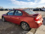 2004 Dodge Neon Sxt Красный vin: 1B3ES56C74D521330