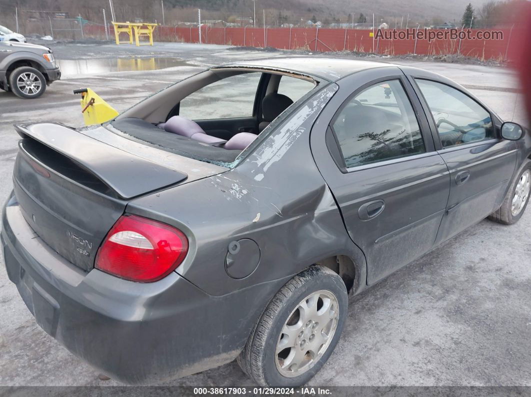 2004 Dodge Neon Sxt Gray vin: 1B3ES56C74D523045