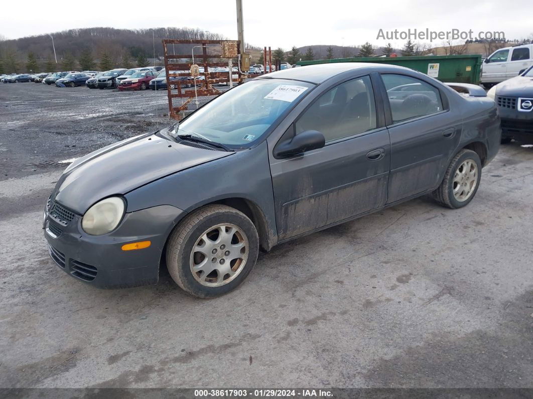 2004 Dodge Neon Sxt Gray vin: 1B3ES56C74D523045