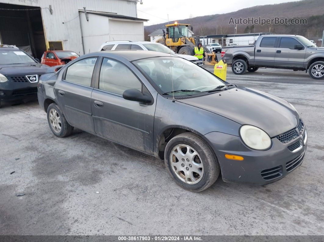 2004 Dodge Neon Sxt Gray vin: 1B3ES56C74D523045