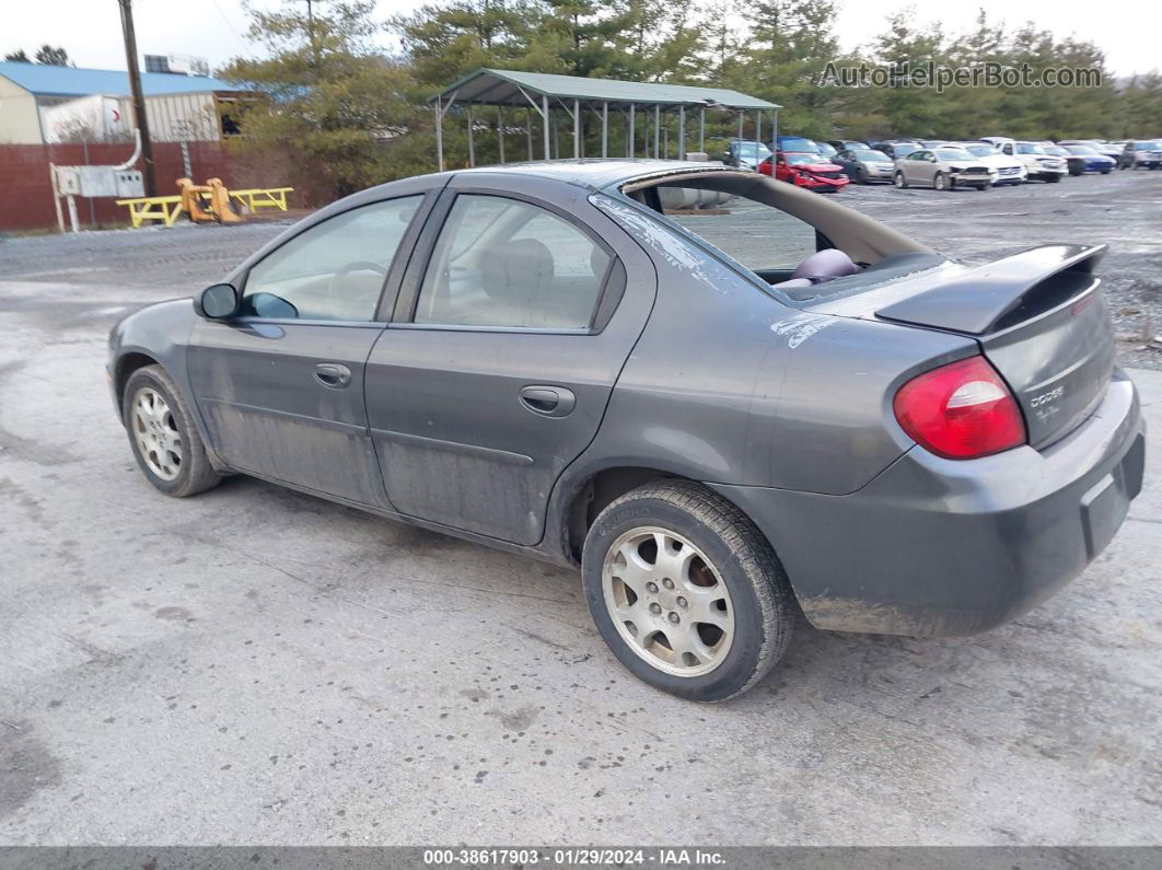 2004 Dodge Neon Sxt Gray vin: 1B3ES56C74D523045