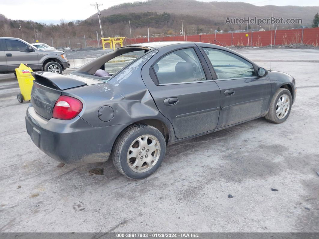 2004 Dodge Neon Sxt Gray vin: 1B3ES56C74D523045